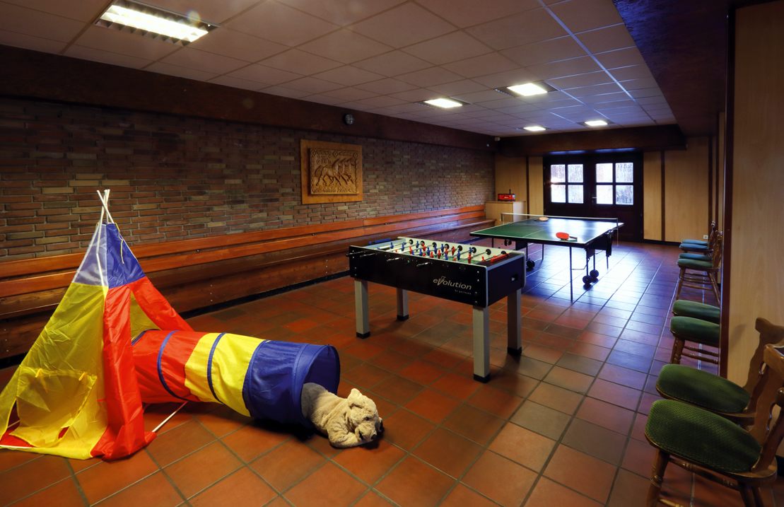 Spieltenne mit Tischtennis, Kicker und Spielzeug