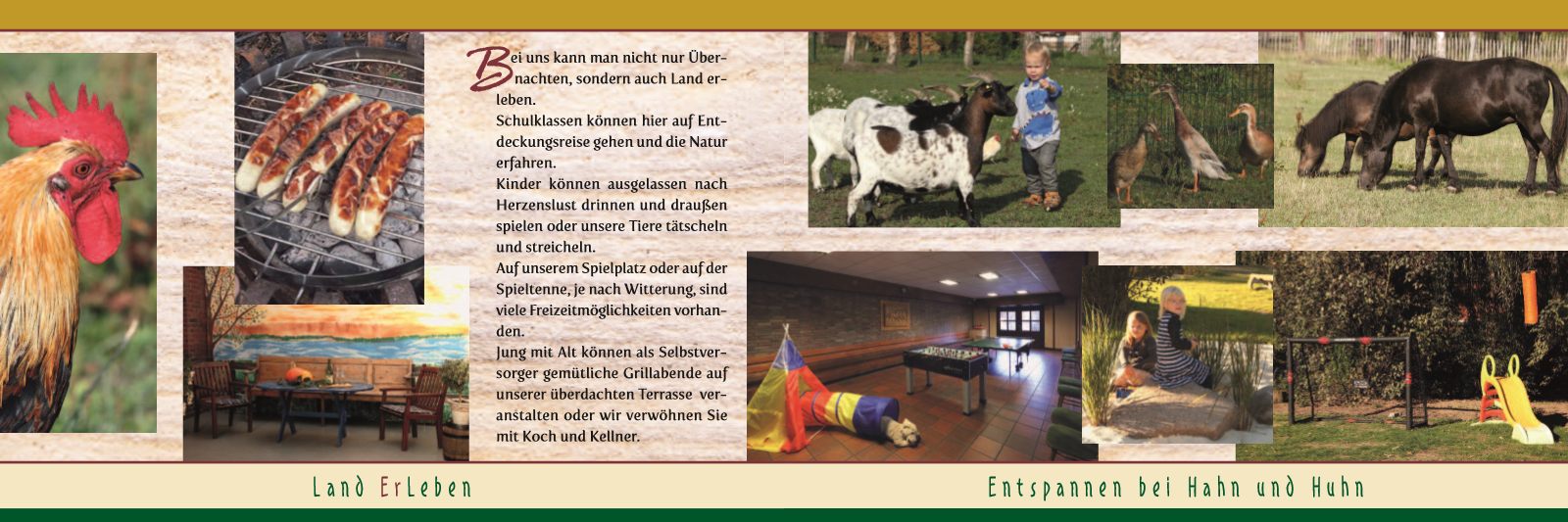 Broschüre Seite 7 – Entspannen bei Hahn und Huhn, Kinder, Tiere und Freizeit
